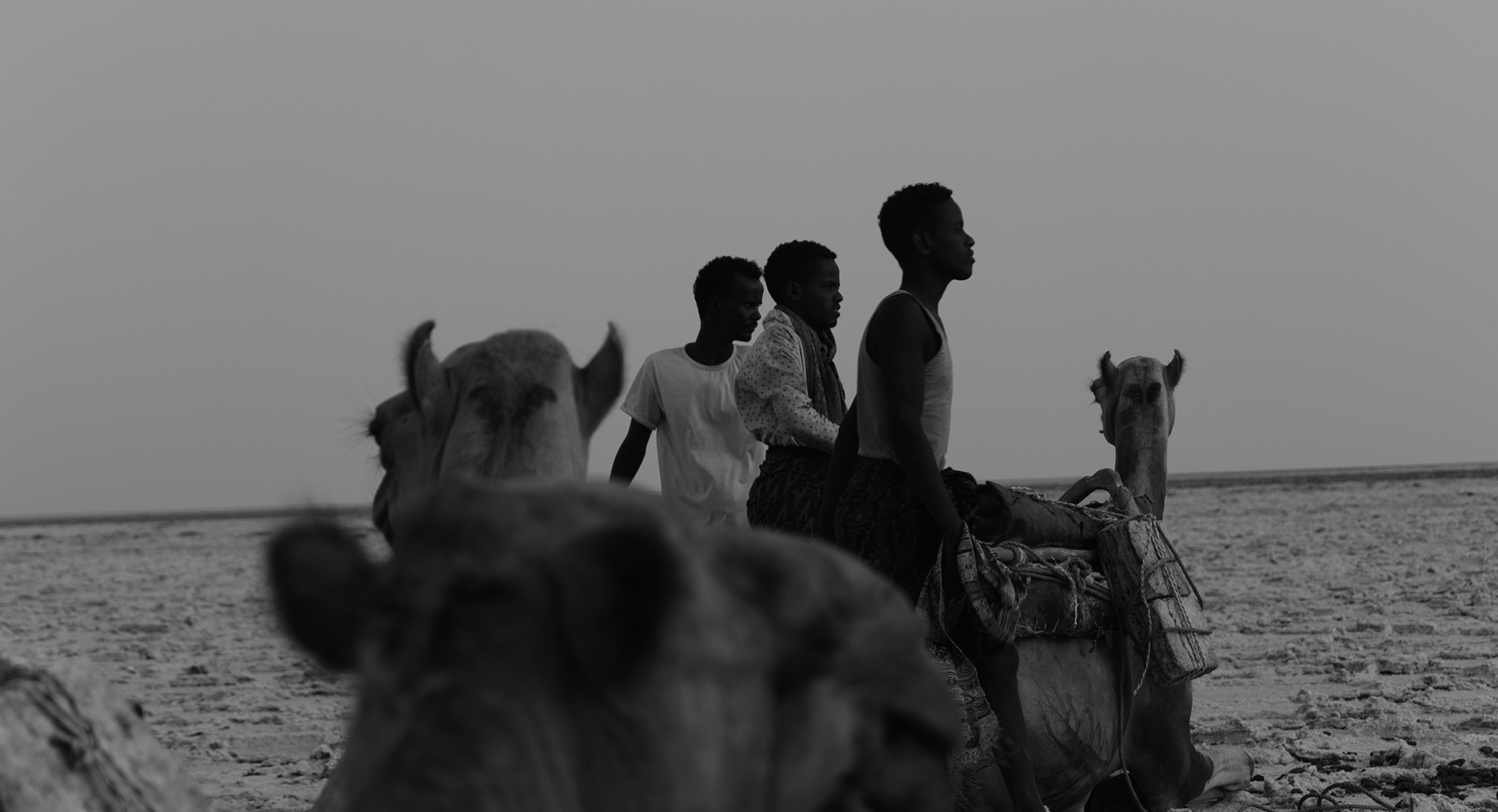 Foto 51